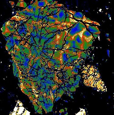 Glassy clast with fine quench crystals.