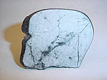 Complete polished slice of NWA 482, displaying shock veins.